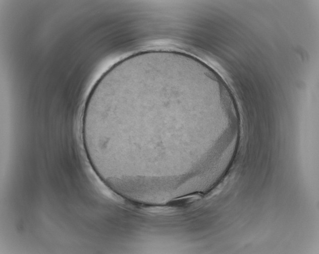X0000111021392200907171846