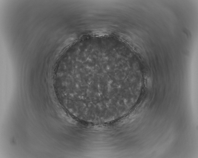 X0000111021393200907171845
