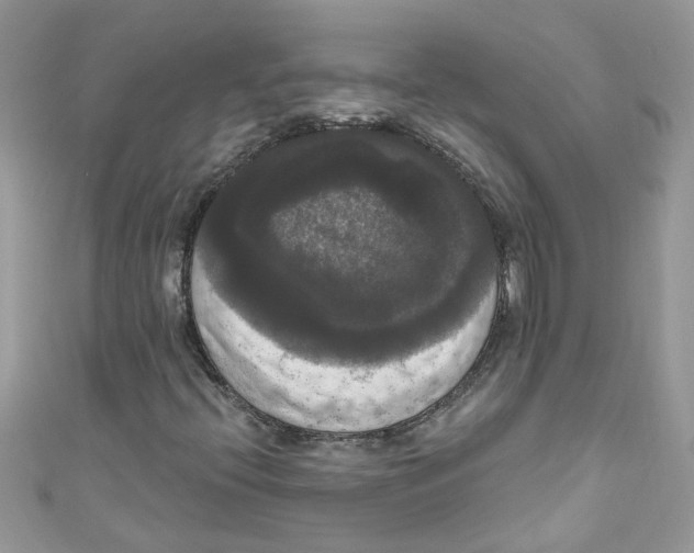 X0000111021396200907171845