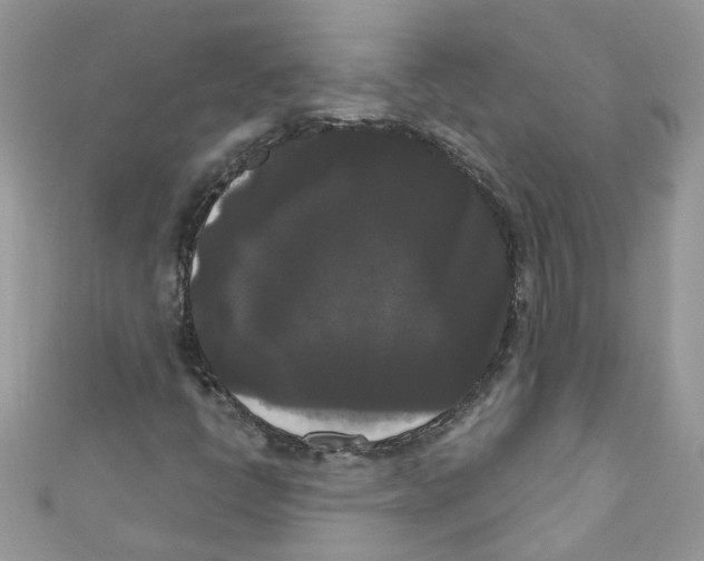 X0000111021398200907171845