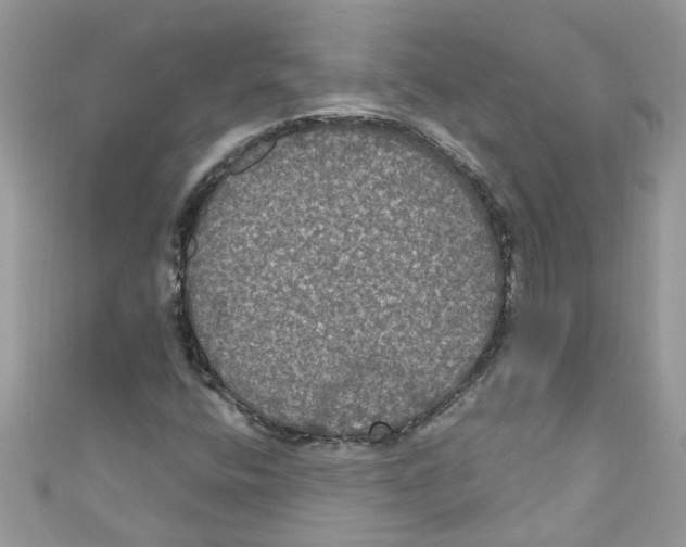 X0000111021400200907171845