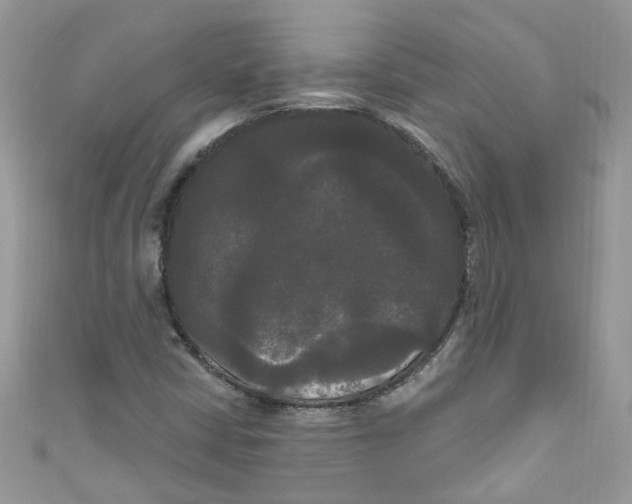 X0000111021402200907171845