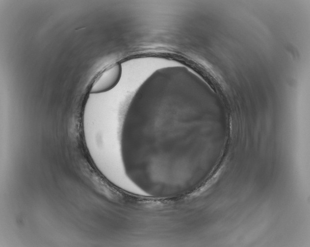 X0000111021405200907171845