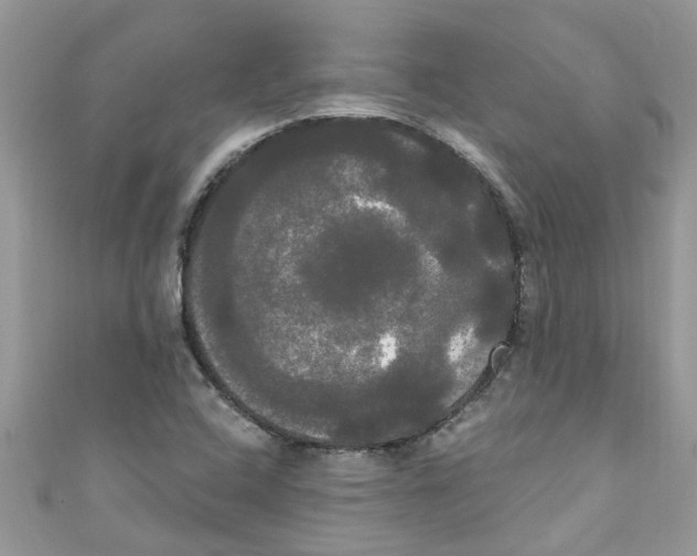X0000111021408200907171845