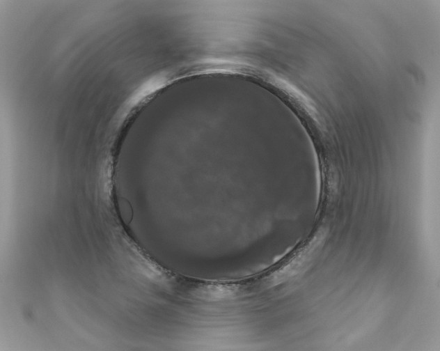 X0000111021411200907171845