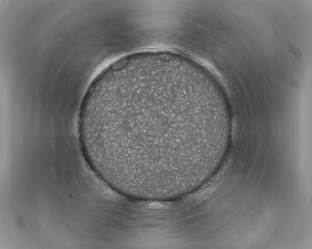 X0000111021412200907171845