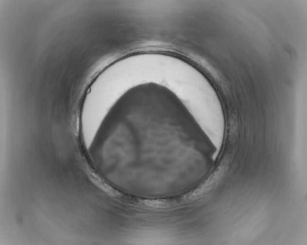 X0000111021413200907171845