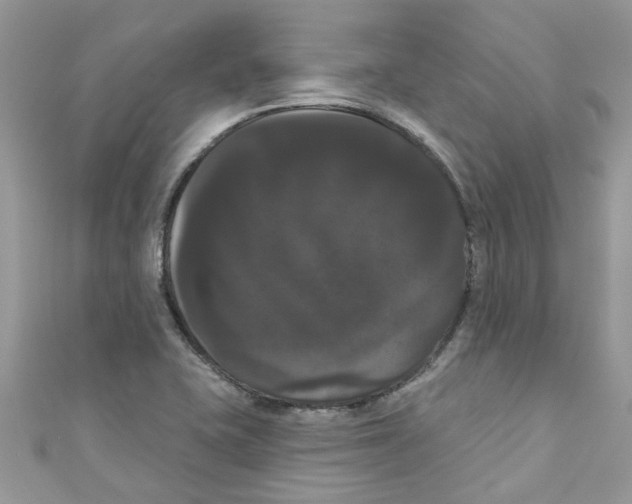X0000111021415200907171845