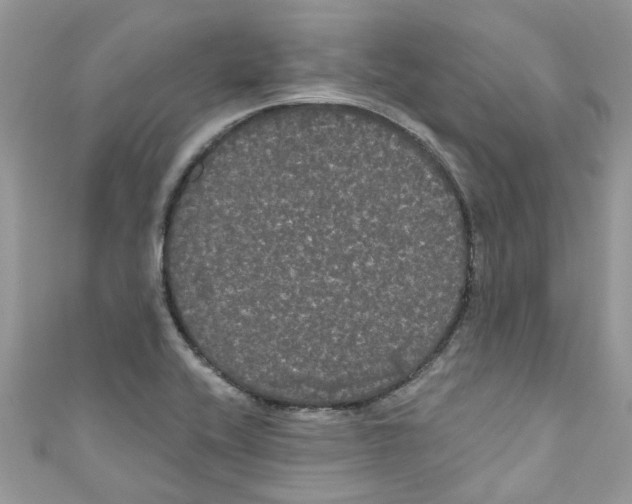 X0000111021416200907171846