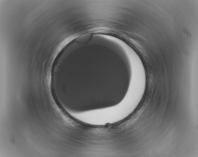 X0000111021418200907171846