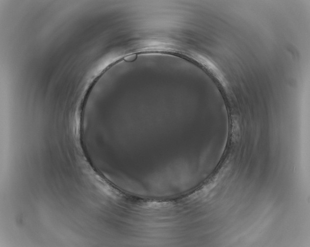 X0000111021419200907171846