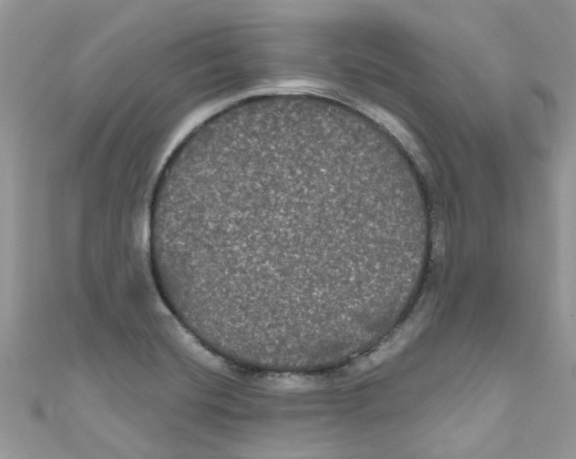 X0000111021420200907171846