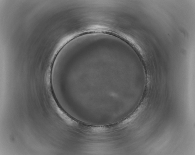 X0000111021421200907171846