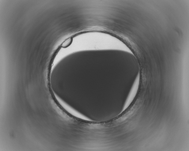 X0000111021422200907171846