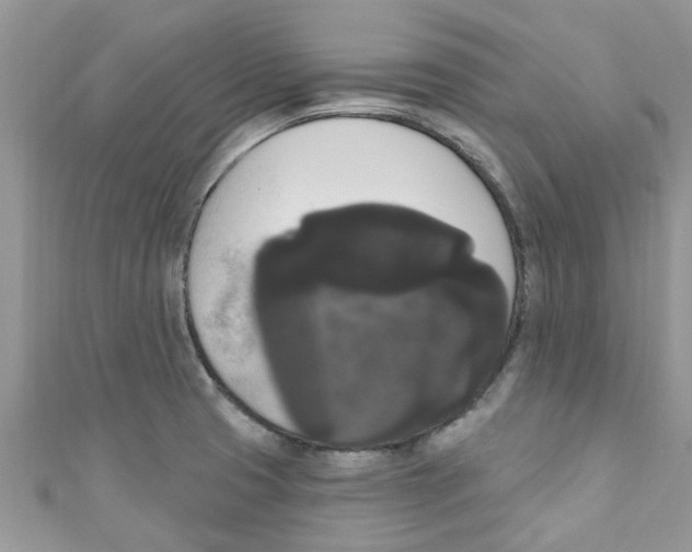 X0000111021425200907171846
