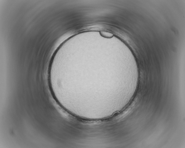 X0000111021426200907171846