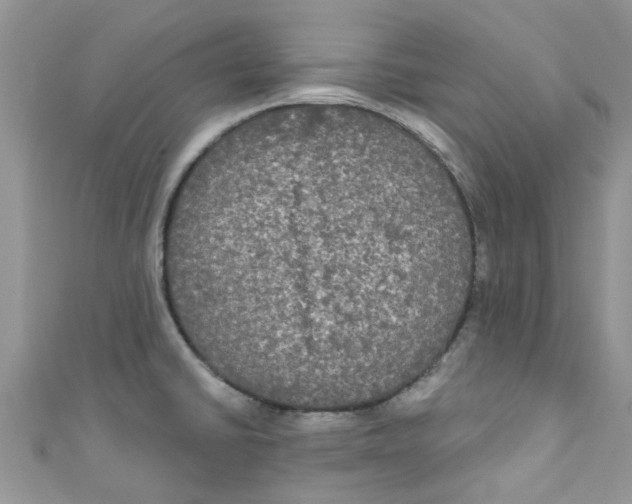 X0000111021430200907171846