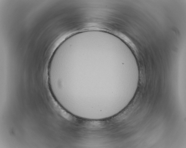 X0000111021431200907171846