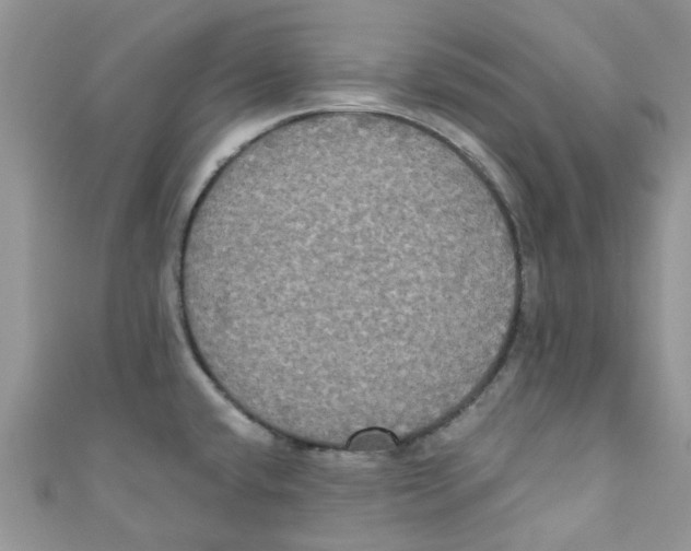 X0000111021432200907171846