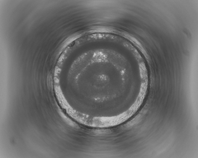 X0000111021433200907171846