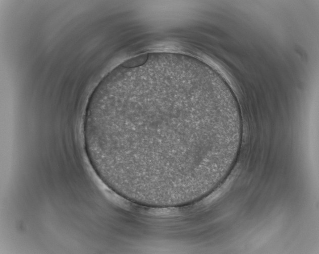 X0000111021434200907171846
