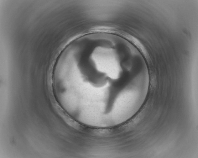 X0000111021435200907171846
