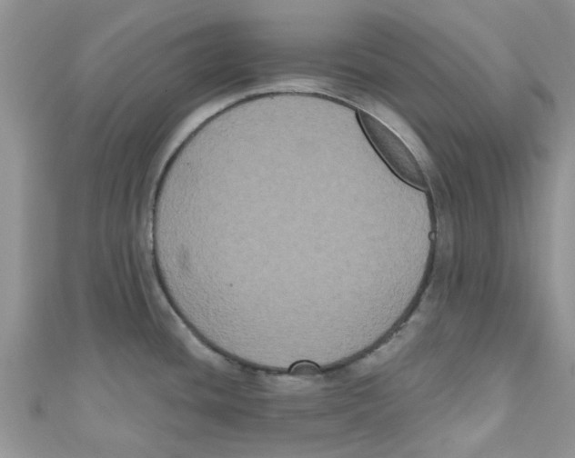 X0000111021436200907171846