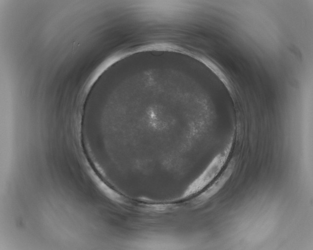 X0000111021438200907171846
