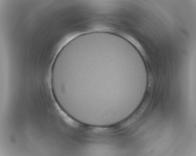 X0000111021439200907171846