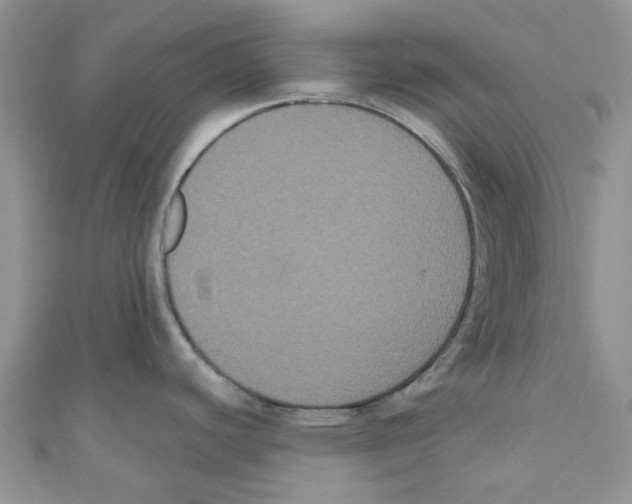 X0000111021440200907171846