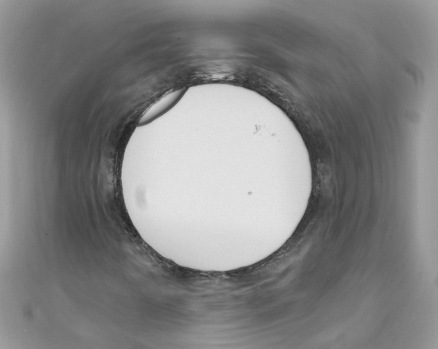 X0000111021442200907171845