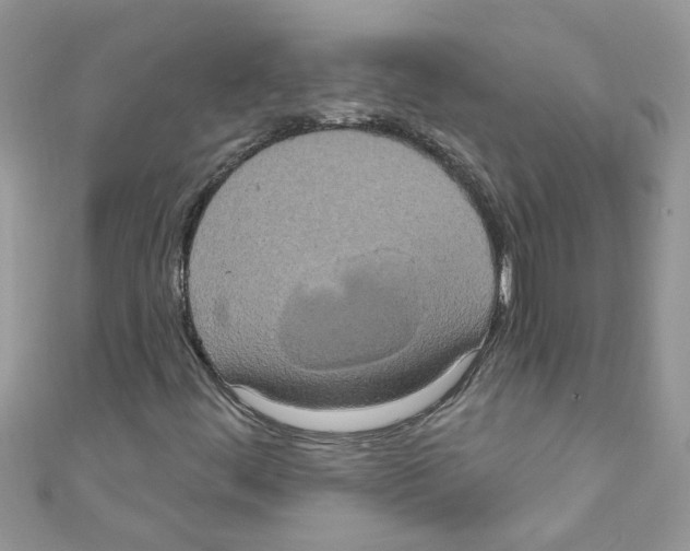 X0000111021444200907171845