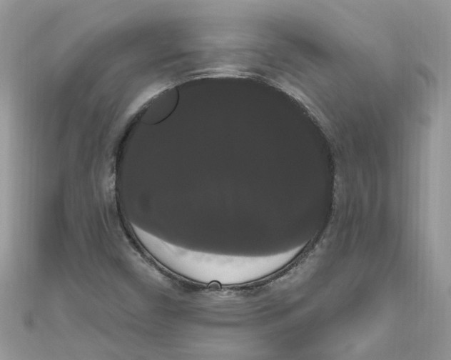 X0000111021450200907171845
