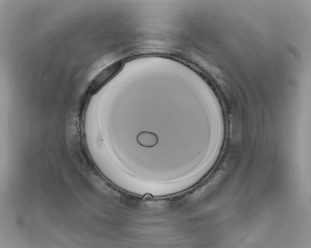 X0000111021453200907171845