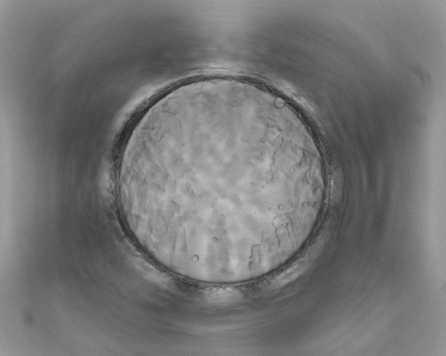 X0000111021454200907171845