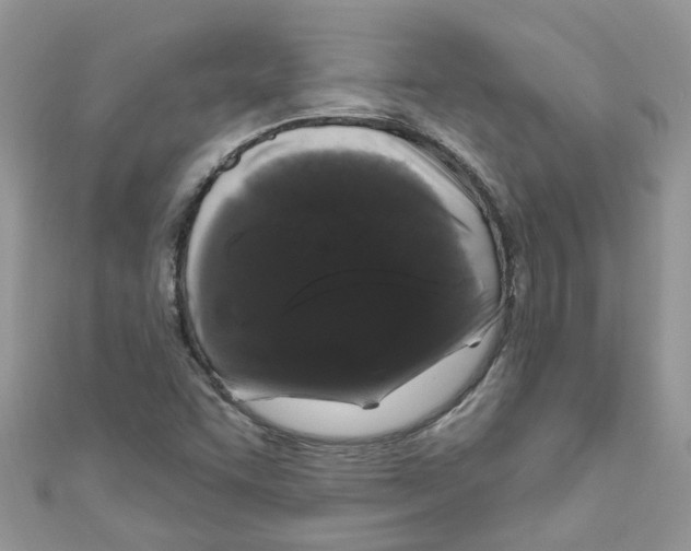 X0000111021455200907171845