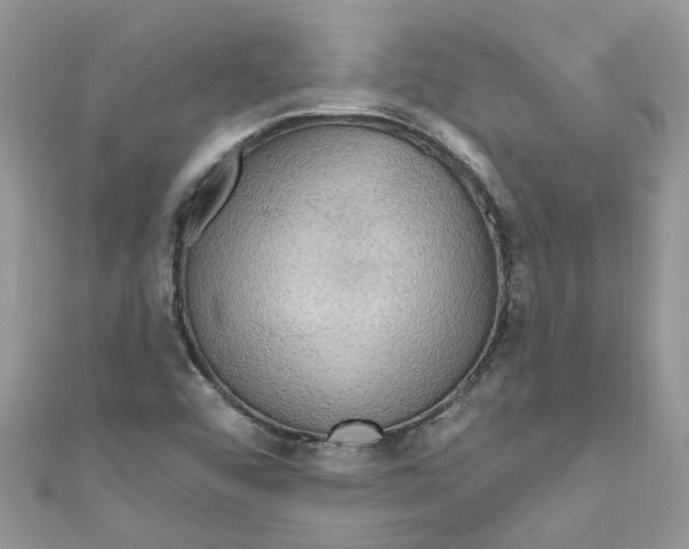 X0000111021456200907171845