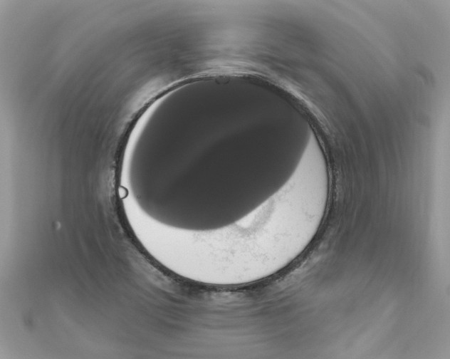 X0000111021459200907171845