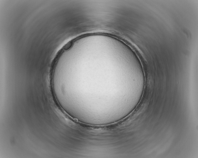 X0000111021460200907171845