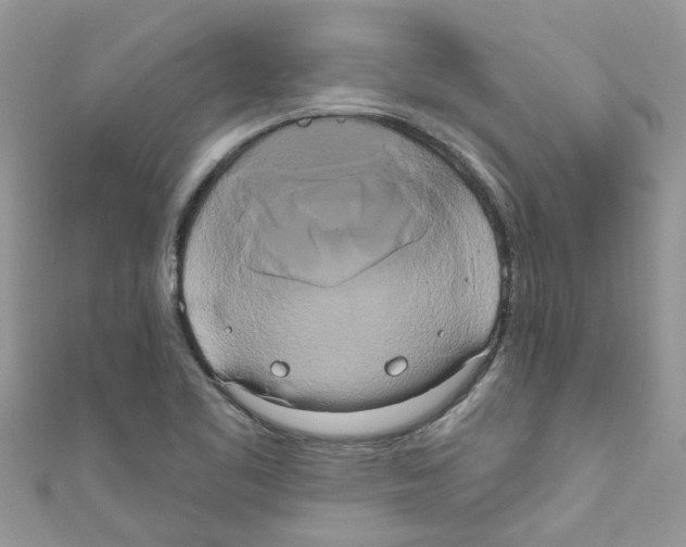 X0000111021461200907171845