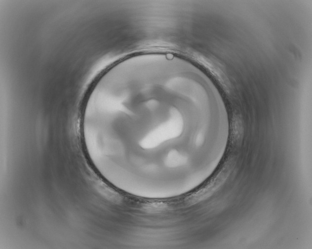 X0000111021462200907171845