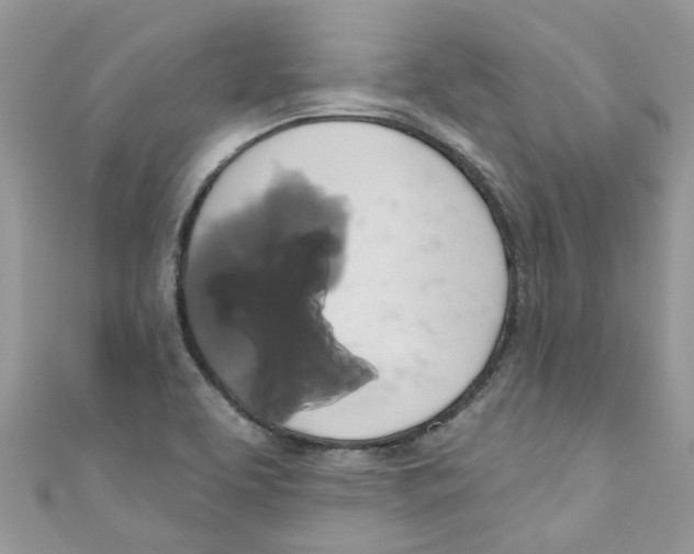 X0000111021463200907171845