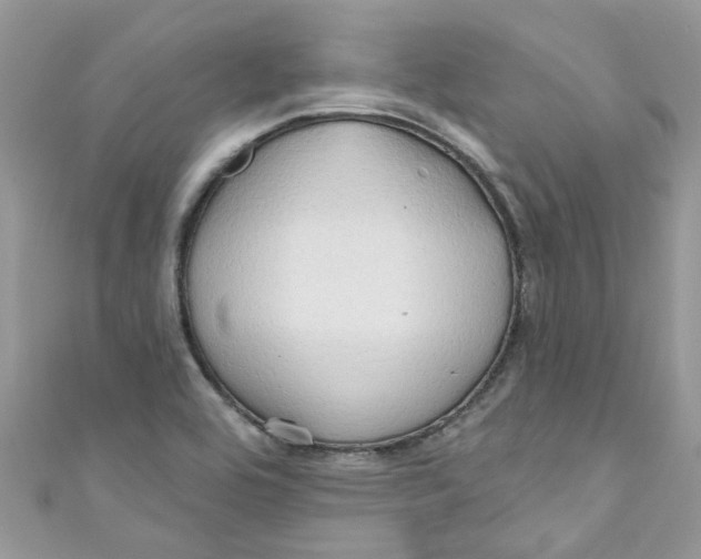 X0000111021464200907171845