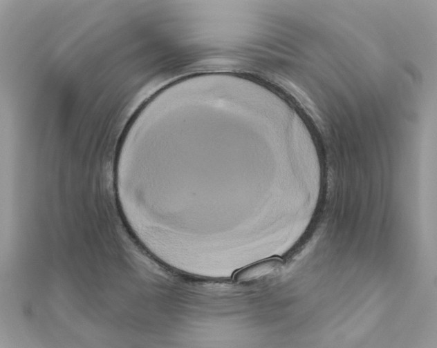 X0000111021465200907171845