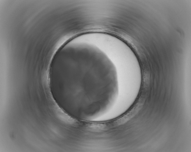 X0000111021466200907171845