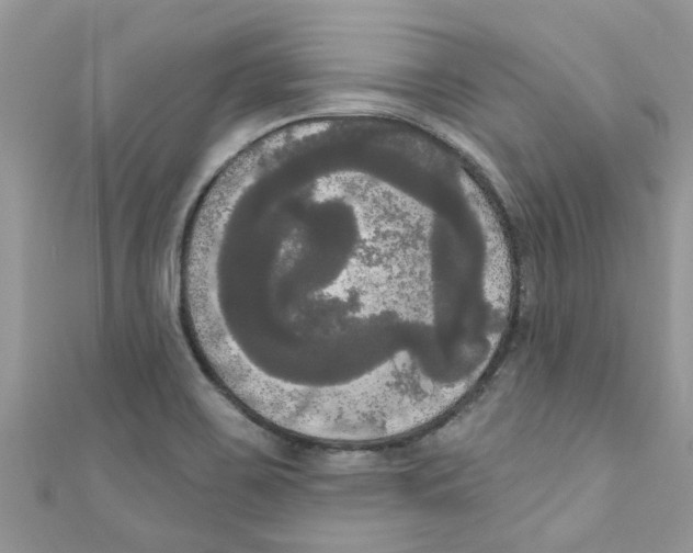 X0000111021467200907171845