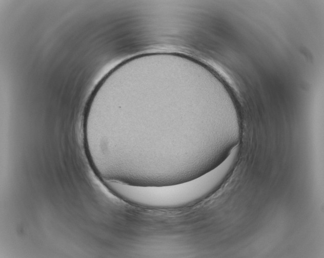 X0000111021468200907171845