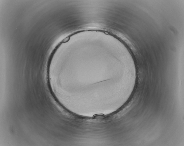 X0000111021469200907171845