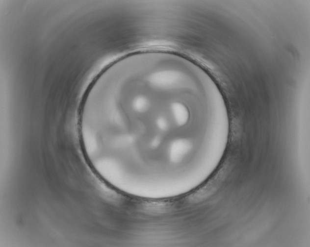 X0000111021470200907171845
