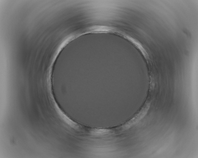 X0000111021475200907171845